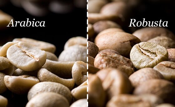 Arabika vs Robusta